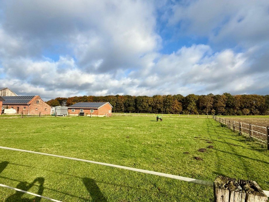 Weidefl�chen Haus Coesfeld / Lette