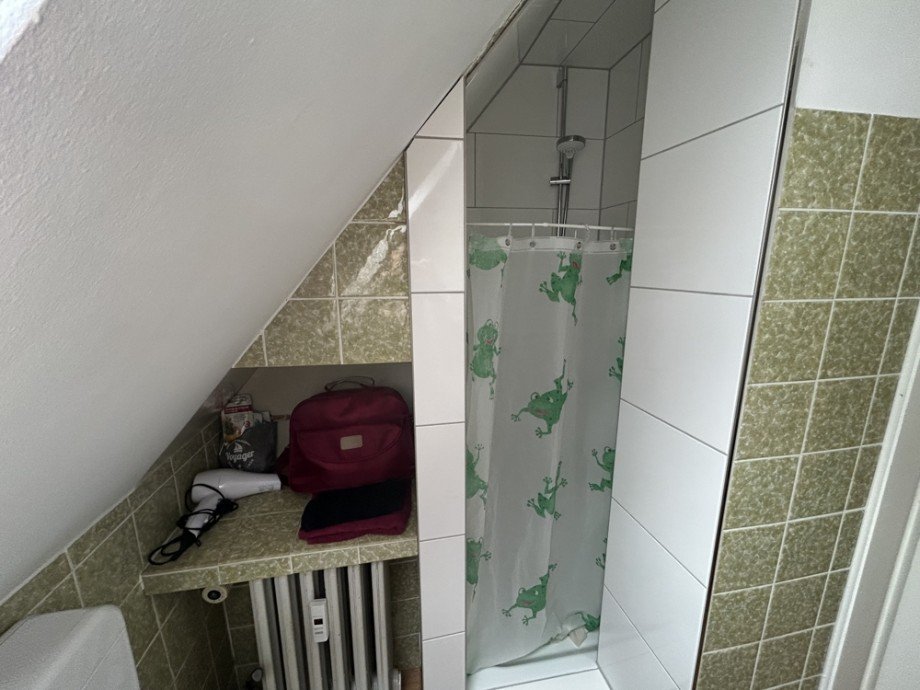 Dusche Dachgeschosswohnung Coesfeld