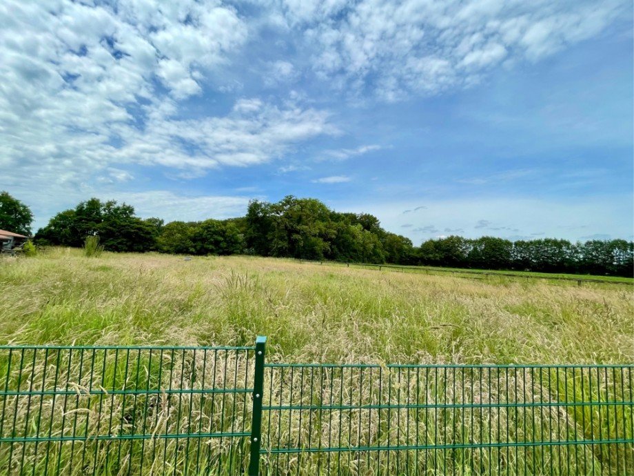 Wiese Landhaus Billerbeck / Temming